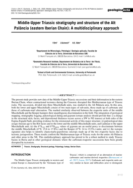 Middle-Upper Triassic Stratigraphy and Structure of the Alt Palància (Eastern Iberian Chain): a Multidisciplinary Approach