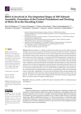 Rbfa Is Involved in Two Important Stages of 30S Subunit Assembly: Formation of the Central Pseudoknot and Docking of Helix 44 to the Decoding Center