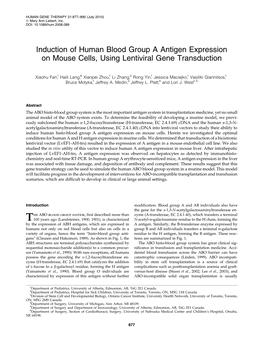 Induction of Human Blood Group a Antigen Expression on Mouse Cells, Using Lentiviral Gene Transduction