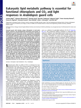 Eukaryotic Lipid Metabolic Pathway Is Essential for Functional Chloroplasts and CO2 and Light Responses in Arabidopsis Guard Cells