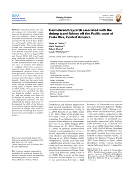 NOAA Elasmobranch Bycatch Associated with the Shrimp Trawl Fishery Off the Pacific Coast of Costa Rica, Central America