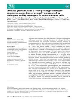 Two Prototype Androgen- Responsive Genes Transcriptionally Upregulated by Androgens and by Oestrogens in Prostate Cancer Cells Huajie Bu1, Michal R