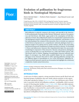 Evolution of Pollination by Frugivorous Birds in Neotropical Myrtaceae