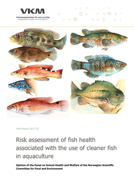 Risk Assessment of Fish Health Associated with the Use of Cleaner Fish in Aquaculture