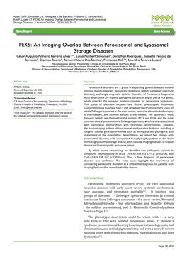 PEX6: an Imaging Overlap Between Peroxisomal and Lysosomal Storage Diseases