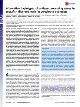 Alternative Haplotypes of Antigen Processing Genes in Zebrafish Diverged Early in Vertebrate Evolution