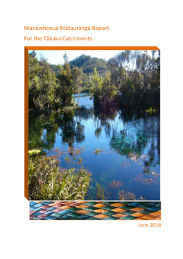 Manawhenua Mātauranga Report for the Tākaka Catchments