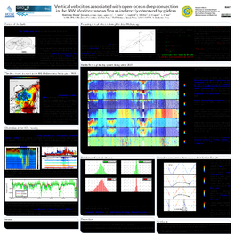 Vertical Velocities Associated with Open-Ocean Deep Convection in The