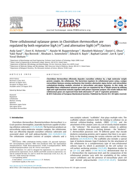 Three Cellulosomal Xylanase Genes in Clostridium Thermocellum Are Regulated by Both Vegetative Siga (Ra) and Alternative Sigi6 (Ri6) Factors