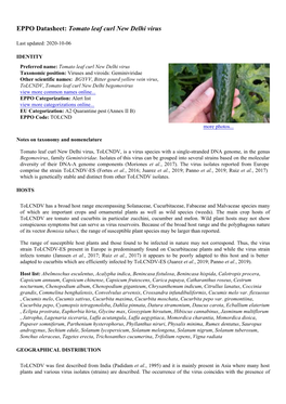 Tomato Leaf Curl New Delhi Virus