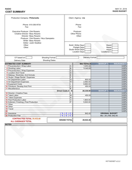 Cost Summary Radio Budget