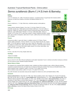 Senna Surattensis (Burm.F.) H.S.Irwin & Barneby