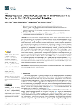 Macrophage and Dendritic Cell Activation and Polarization in Response to Coccidioides Posadasii Infection