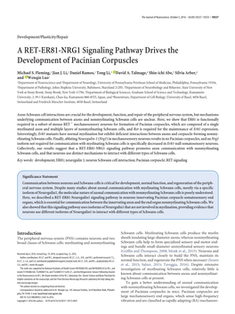 A RET-ER81-NRG1 Signaling Pathway Drives the Development of Pacinian Corpuscles