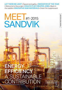 Meet Sandvik 2015 1