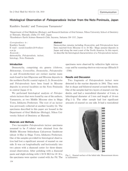 Histological Observation of Paleoparadoxia Incisor from the Noto Peninsula,Japan