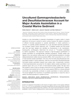 Uncultured Gammaproteobacteria and Desulfobacteraceae Account for Major Acetate Assimilation in a Coastal Marine Sediment