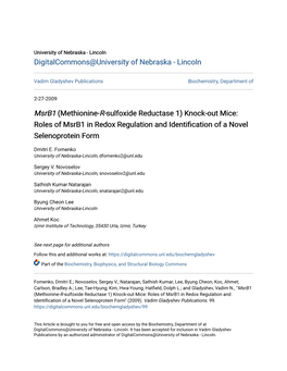 Msrb1 (Methionine-R-Sulfoxide Reductase 1) Knock-Out Mice: Roles of Msrb1 in Redox Regulation and Identification of a Novel Selenoprotein Form