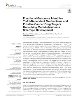 Functional Genomics Identifies Tis21-Dependent Mechanisms and Putative Cancer Drug Targets Underlying Medulloblastoma Shh-Type D