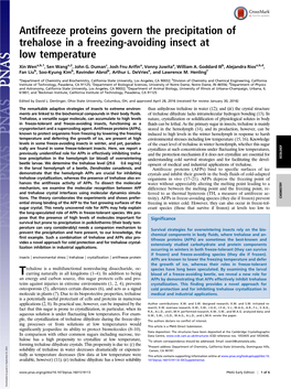 Antifreeze Proteins Govern the Precipitation of Trehalose in a Freezing-Avoiding Insect at Low Temperature