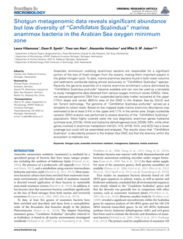 Candidatus Scalindua” Marine Anammox Bacteria in the Arabian Sea Oxygen Minimum Zone