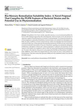 A Novel Proposal That Compiles the PGPR Features of Bacterial Strains and Its Potential Use in Phytoremediation