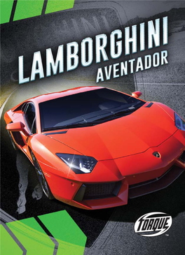 Lamborghini Aventador / by Calvin Cruz
