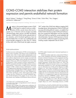 CCM2–CCM3 Interaction Stabilizes Their Protein Expression and Permits Endothelial Network Formation