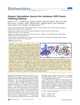 Dynamic Glycosylation Governs the Vertebrate COPII Protein Trafficking