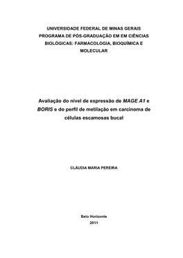 Avaliação Do Nível De Expressão De MAGE A1 E BORIS E Do Perfil De Metilação Em Carcinoma De Células Escamosas Bucal