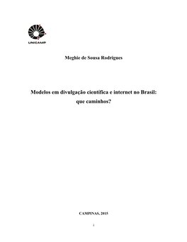 Modelos Em Divulgação Científica E Internet No Brasil: Que Caminhos?