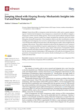 Jumping Ahead with Sleeping Beauty: Mechanistic Insights Into Cut-And-Paste Transposition