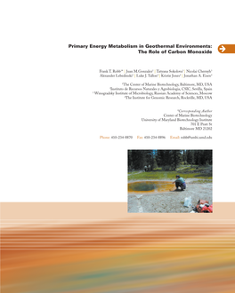 Primary Energy Metabolism in Geothermal Environments: the Role of Carbon Monoxide