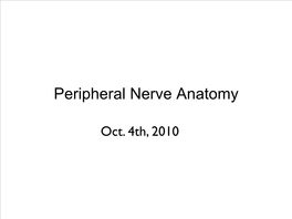 Peripheral Nerve Anatomy