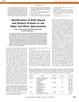 Identification of Both Shared and Distinct Proteins in the Major And