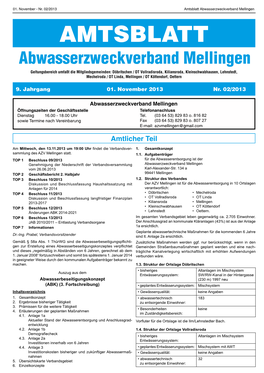 Amtsblatt Nr. 02 2013