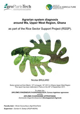 Agrarian System Diagnosis Around Wa, Upper West