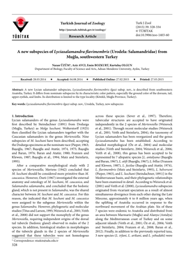 A New Subspecies of Lyciasalamandra Flavimembris (Urodela: Salamandridae) from Muğla, Southwestern Turkey