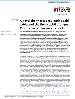 A Novel Thermostable D-Amino Acid Oxidase of the Thermophilic Fungus