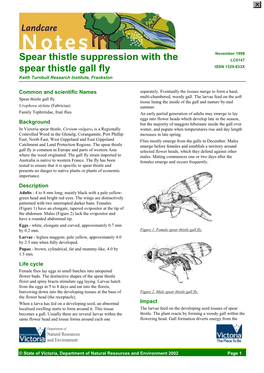 Spear Thistle Suppression with the Spear Thistle Gall Fly (DSE Vic)