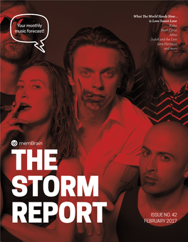 STORM Report Is a Compilation of Up-And-Coming Bands and in the Spirit of Celebrating the Month of Artists Who Are Worth Watching
