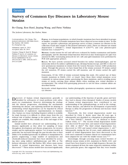 Survey of Common Eye Diseases in Laboratory Mouse Strains