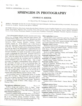 Krizek, G. O. 1991. Sphingids in Photography. Tropical Lepidoptera 2(1)