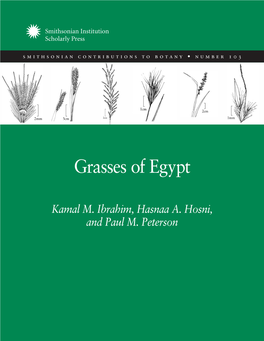 Grasses of Egypt