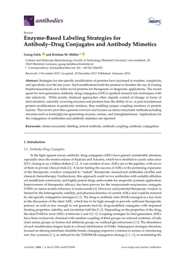 Enzyme-Based Labeling Strategies for Antibody–Drug Conjugates and Antibody Mimetics