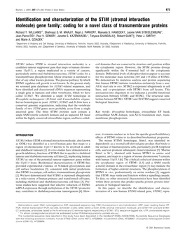 Identification and Characterization of the STIM (Stromal Interaction Molecule) Gene Family: Coding for a Novel Class of Transmem