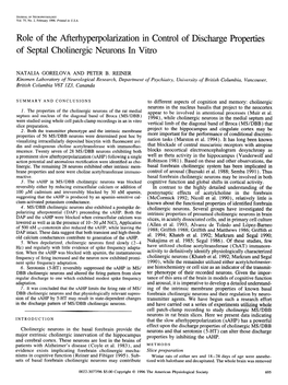 Role of the Afterhyperpolarization in Control of Discharge Properties of Septal Cholinergic Neurons in Vitro