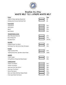 Brazilian Jiu-Jitsu WHITE BELT to 1-STRIPE WHITE BELT