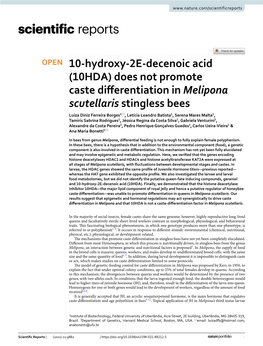 Does Not Promote Caste Differentiation in Melipona Scutellaris