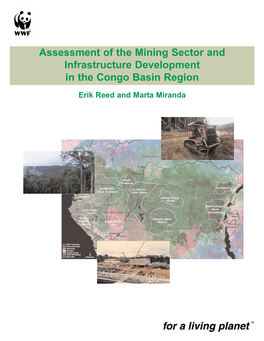 Assessment of the Mining Sector and Infrastructure Development in the Congo Basin Region